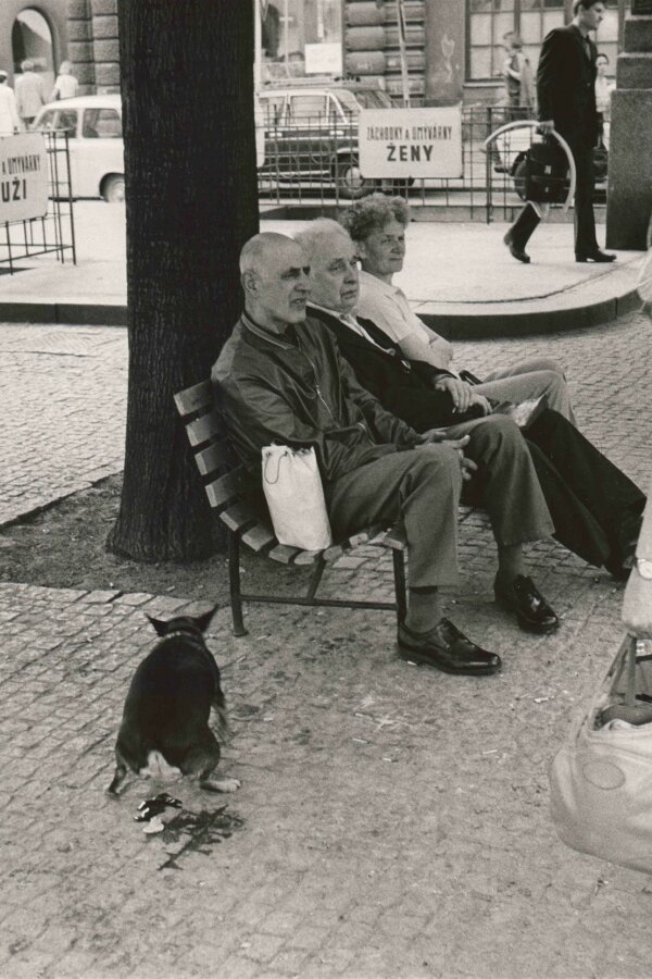 František Dostál, soubor: Psi a lidé (1975–80), Uhelný Trh